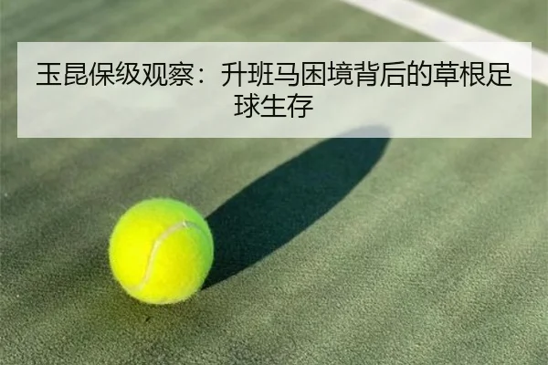 玉昆保级观察：升班马困境背后的草根足球生存